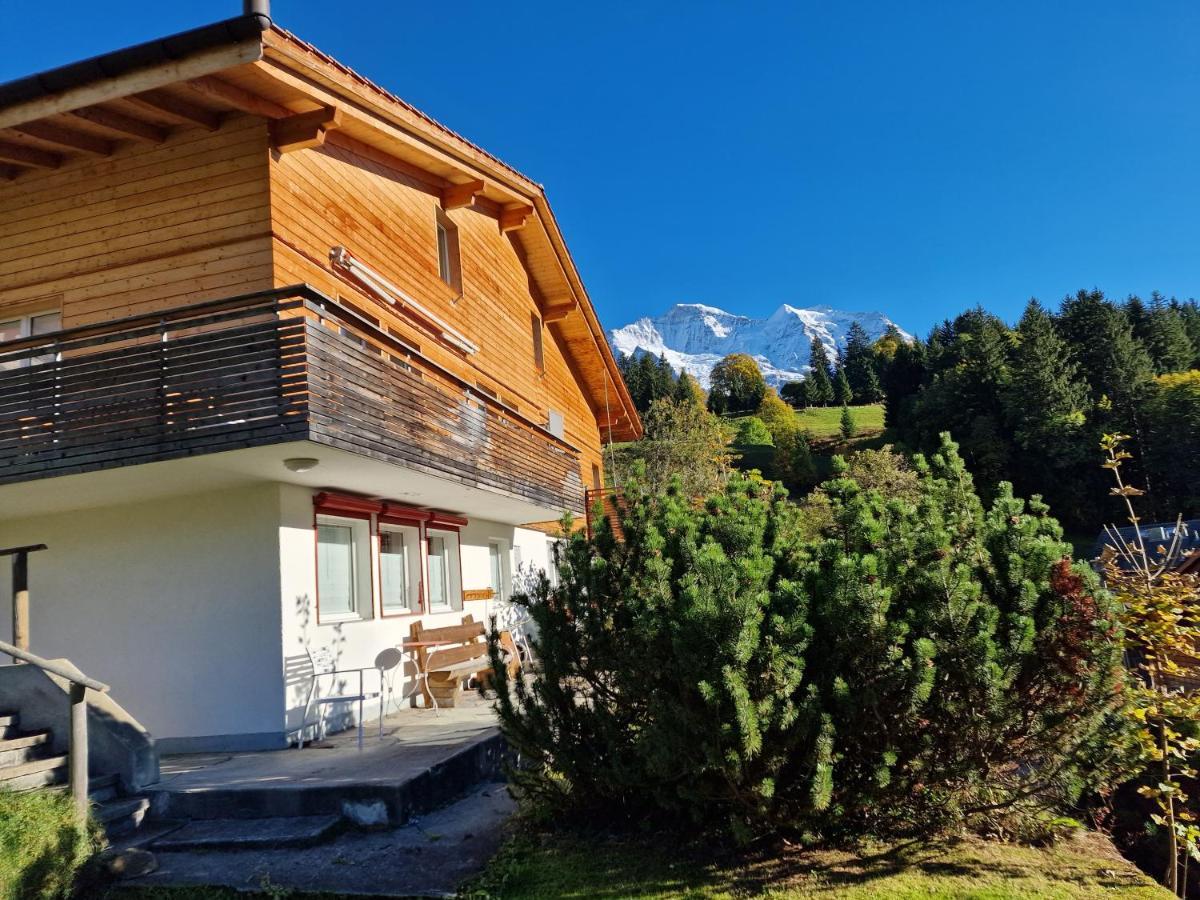 Chalet Viola - Verena'S Loft Венген Екстер'єр фото